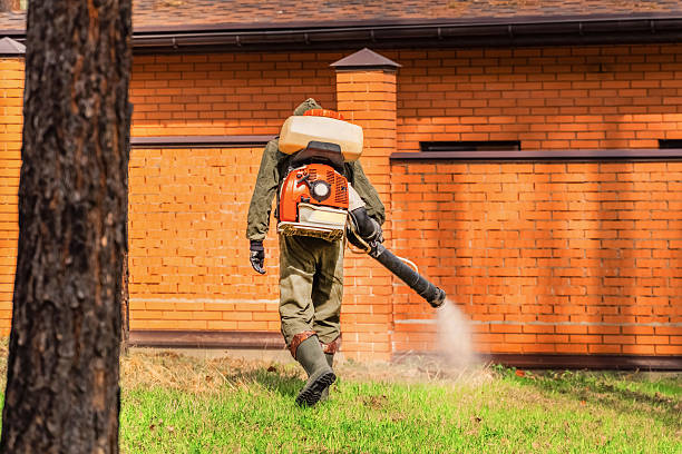 Trusted Cockroach Control service in Hopkins, SC - Nex Pest Control